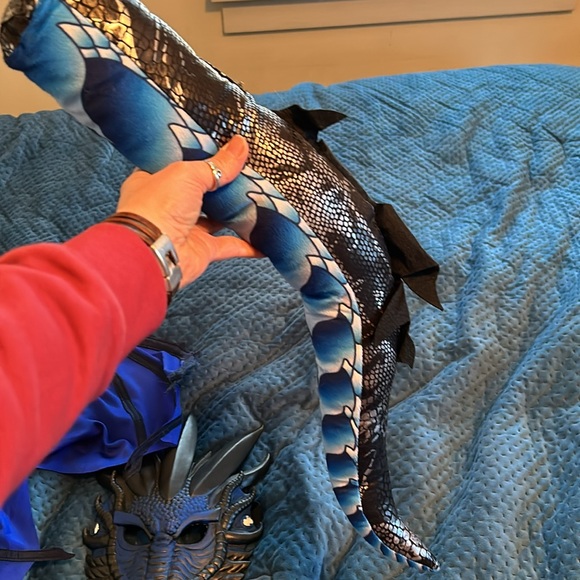 Dragon costume - Picture 5 of 7